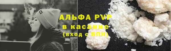 индика Аркадак