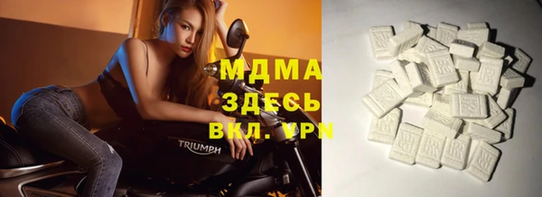 индика Аркадак