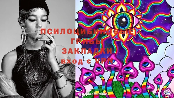 индика Аркадак