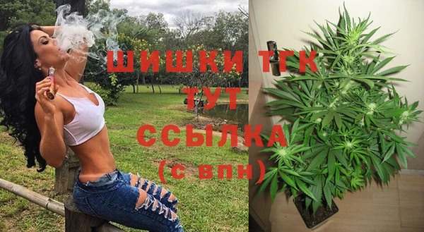 индика Аркадак