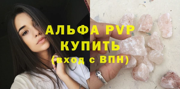 индика Аркадак